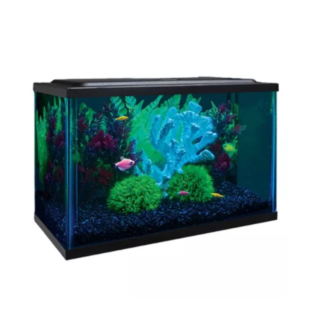 New GloFish LED Aquarium Kit 5 gallon
